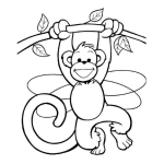 Dibujo para colorear Colorear Mico