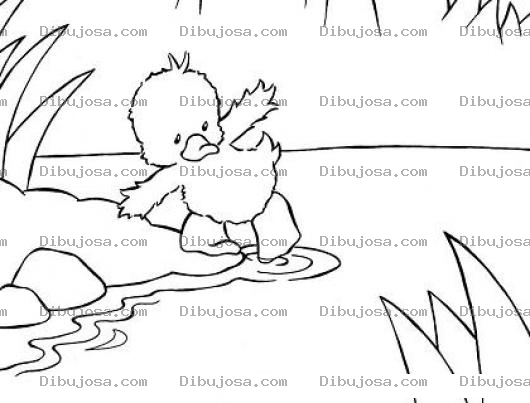 Dibujo para colorear Colorear Patito entrando al agua