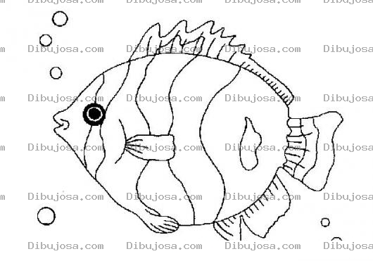 Dibujo para colorear Dibujo De Pez Globo Para Pintar Y Colorear