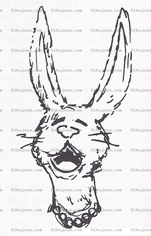 Dibujo para colorear Conejo Orejas De Burro Para Pintar Y Colorear
