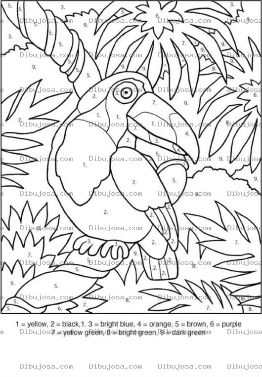Dibujo para colorear Colorear Por Colores Dibujo De Un Tucan 1amarillo 2negro 3celeste 4naranja 5cafe 6morado 7amarillo 8verdeclaro 9verdeoscuro