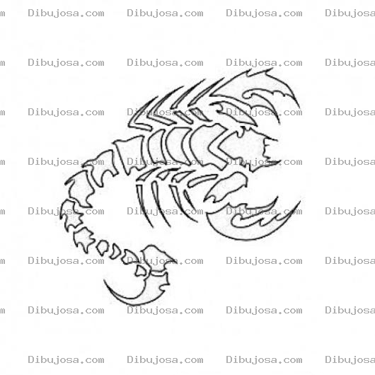 Dibujo para colorear Plantilla De Tatuaje De Escorpion Para Imprimir Y Recortar Contorno Para Pintar Y Colorear Tatuaje De Alacran