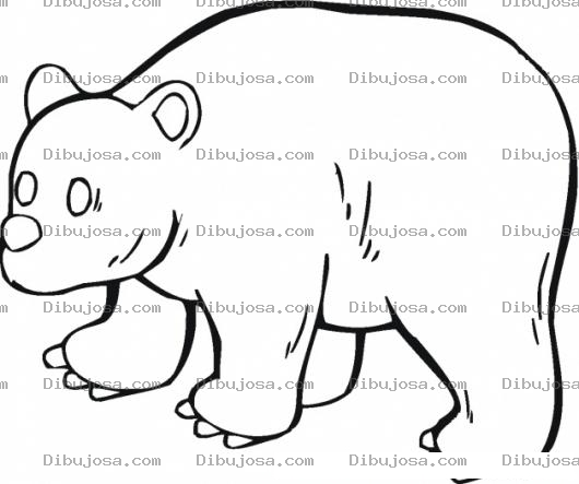 Dibujo para colorear Dibujo De Osa Polar Para Pintar Y Colorear