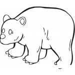 Dibujo para colorear Dibujo De Osa Polar Para Pintar Y Colorear