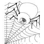 Dibujo para colorear Wibsi Wibsy Arana En Su Telarana Para Pintar Y Colorear