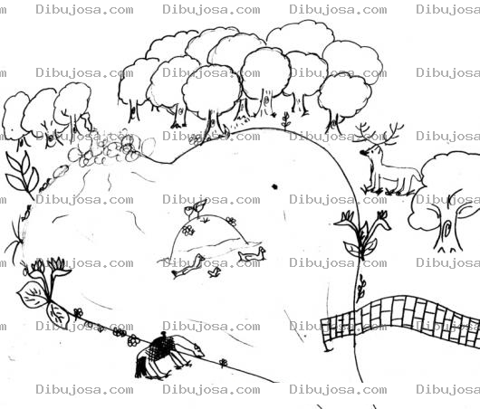 Dibujo para colorear Dibujo De Una Laguna Con Un Bosque Y Animales Para Pintar Y Colorear
