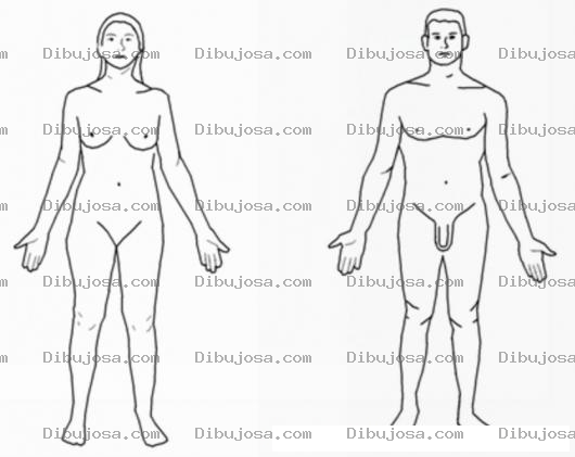 Dibujo para colorear Dibujo De La Figura Humana De Mujer Y De Hombre