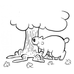 Dibujo para colorear Dibujo De Oso Mordiendo Un Arbol Para Pintar Y Colorear