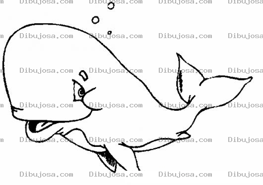 Dibujo para colorear Dibujo De Ballena Timida Para Pintar Y Colorear
