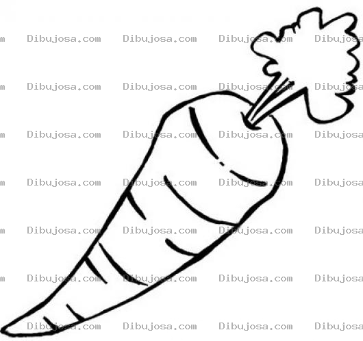 Dibujo para colorear Vitamina A Dibujo De Zanahoria Para Pintar Y Colorear