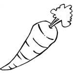 Dibujo para colorear Vitamina A Dibujo De Zanahoria Para Pintar Y Colorear