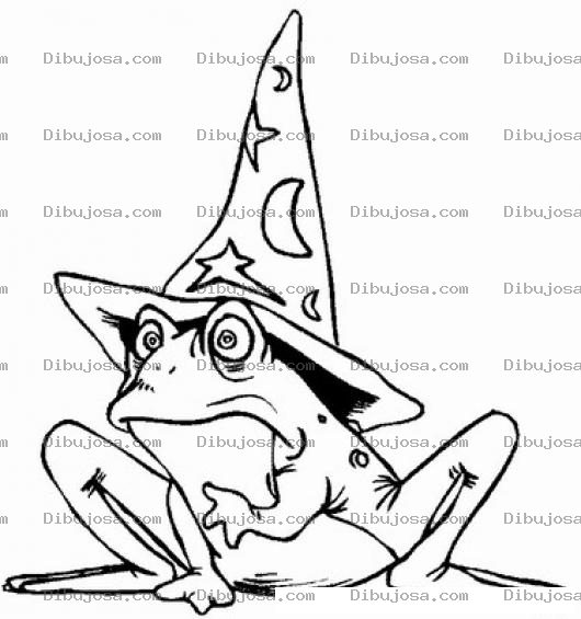 Dibujo para colorear Colorear Sapo Mago
