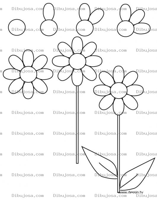 Dibujo para colorear Me Quiere No Me Quiere Me Quiere No Me Quiere Dibujo De Margarita Deshojada Para Pintar Y Colorear