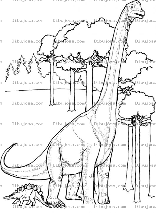 Dibujo para colorear Dibujo De Dinosaurios Para Pintar Y Colorear A Dos Dinosaurios Uno Grandote Y Otro Chiquito