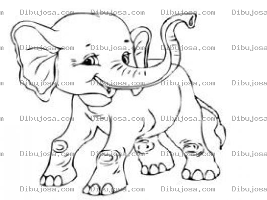 Dibujo para colorear Dibujo De Un Elefantito Bebe Para Pintar Y Colorear