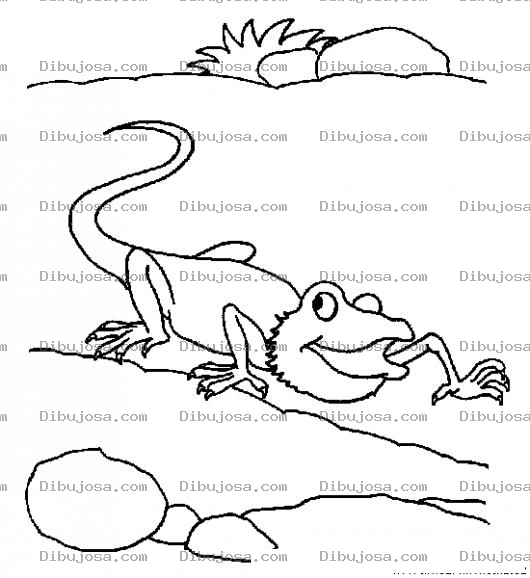 Dibujo para colorear Dibujo De Camaleon Caminando Por La Orilla De Un Rio Para Pintar Y Colorear