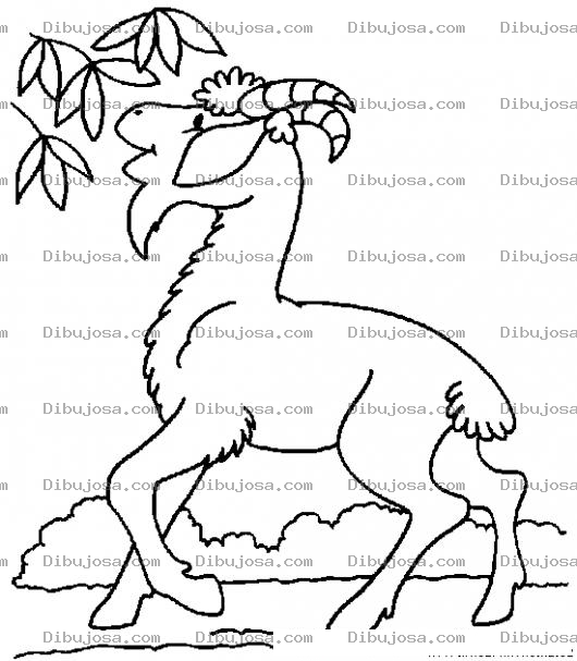 Dibujo para colorear Dibujo De Un Chivo Comiendo Hojas De Un Arbol Para Pintar Y Colorear Un Cabro