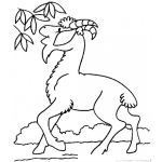 Dibujo para colorear Dibujo De Un Chivo Comiendo Hojas De Un Arbol Para Pintar Y Colorear Un Cabro