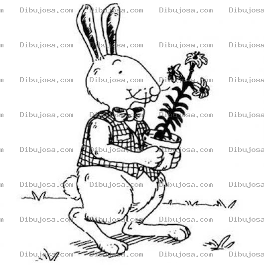 Dibujo para colorear Dibujo De Conejo Jardinero Xon Una Mazeta Para Pintar Y Colorear