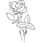 Dibujo para colorear Dibujo De Una Rosa Para Pintar Y Colorear