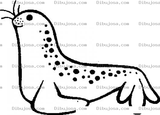 Dibujo para colorear Dibujo De Foca Con Motas Para Pintar Y Colorear