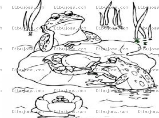 Dibujo para colorear Ranas En Un Estanque Para Pintar Y Colorear