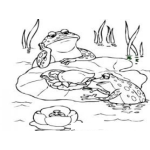 Dibujo para colorear Ranas En Un Estanque Para Pintar Y Colorear