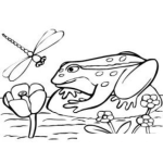 Dibujo para colorear Dibujo De Un Sapo En Un Estanque Para Pintar Y Colorear