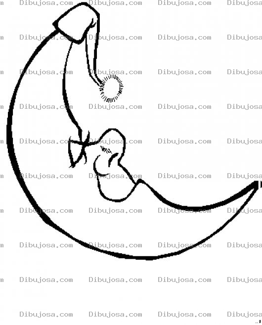 Dibujo para colorear Dibujo De Luna Durmiendo Para Pintar Y Colorear