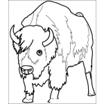 Dibujo para colorear Colorear Bisonte Bufalo