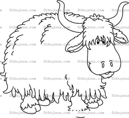Dibujo para colorear Dibujo De Un Bufalo Para Pintar