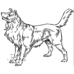 Dibujo para colorear Colorear Perro Lazy Para Pintar Y Colorear A Lasy