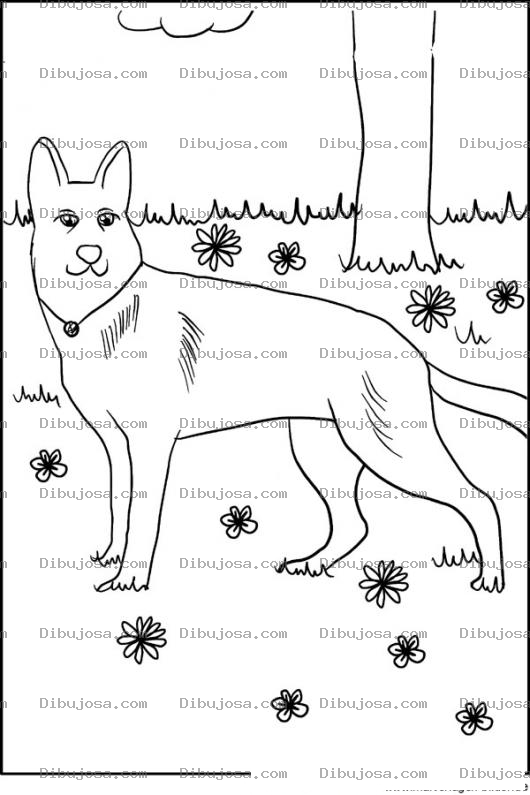 Dibujo para colorear Dibujo De Perro Pastor Aleman En Jardin Para Pintar Y Colorear