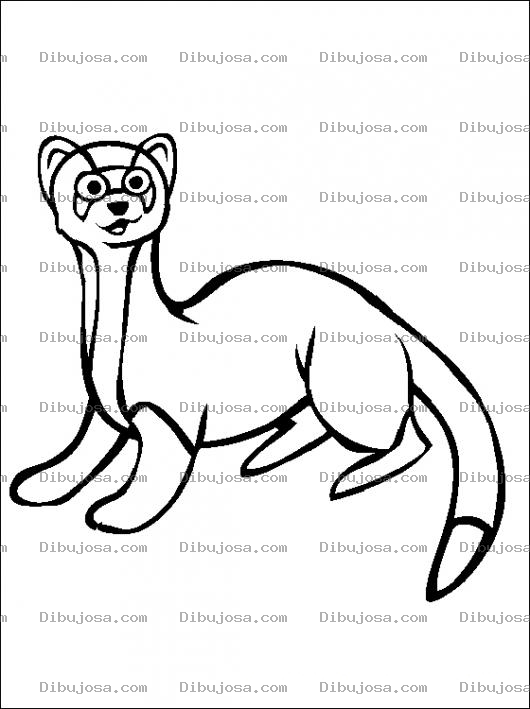 Dibujo para colorear El Dia De La Marmota Dibujo De Una Marmota Para Pintar Y Colorear