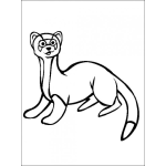 Dibujo para colorear El Dia De La Marmota Dibujo De Una Marmota Para Pintar Y Colorear
