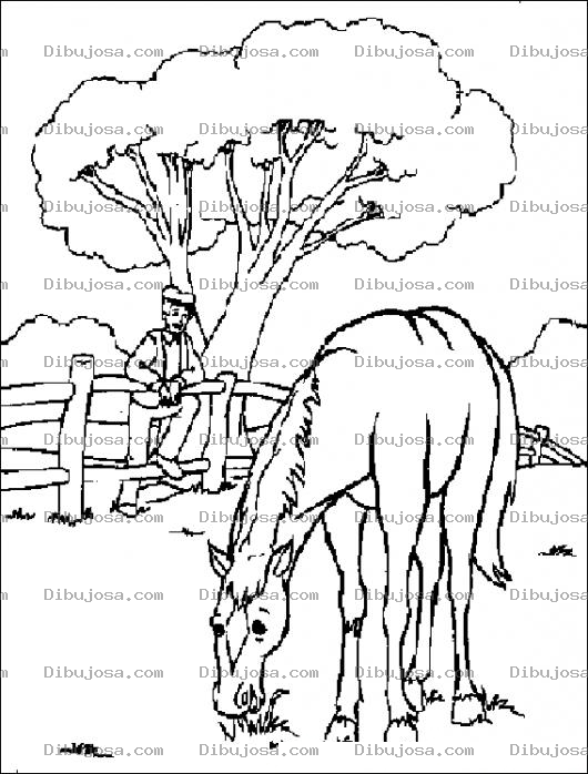 Dibujo para colorear Dibujo De Caballo Comiendo Pasto Para Pintar Y Colorear