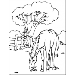 Dibujo para colorear Dibujo De Caballo Comiendo Pasto Para Pintar Y Colorear