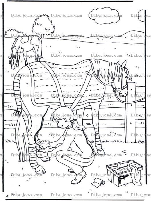Dibujo para colorear Dibujo De Veterinaria Vendando Las Patas De Un Caballo Para Pintar Y Colorear