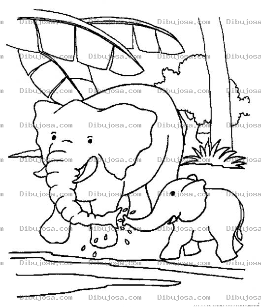Dibujo para colorear Dibujo De Papa Elefante Y Su Hijo Elefantito Para Colorear