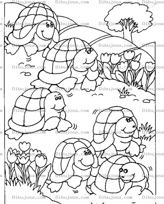 Dibujo para colorear Carrera De Tortugas Dibujo De 6 Tortugas Para Pintar Y Colorear