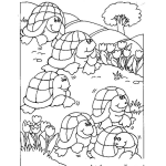 Dibujo para colorear Carrera De Tortugas Dibujo De 6 Tortugas Para Pintar Y Colorear