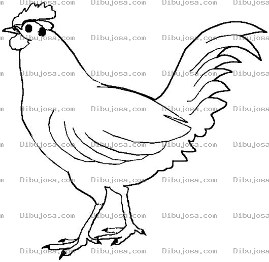 Dibujo para colorear Dibujo De Un Gallo Para Colorear