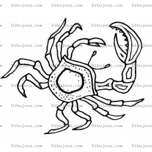 Dibujo para colorear Dibujo De Cangrejo Para Colorear