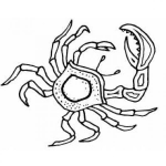 Dibujo para colorear Dibujo De Cangrejo Para Colorear