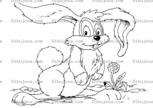 Dibujo para colorear Dibujo De Conejo Parado Para Colorear