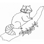 Dibujo para colorear Dibujo De Un Mapache En Un Tronco De Arbol Para Pintar Y Colorear Un Mapachito