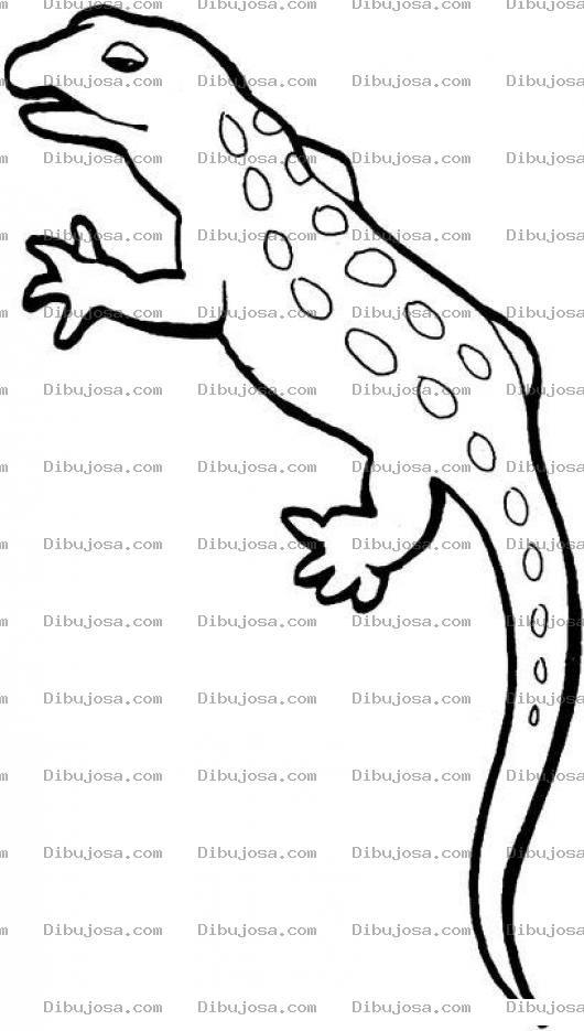 Dibujo para colorear Cutete Para Colorear Y Pintar