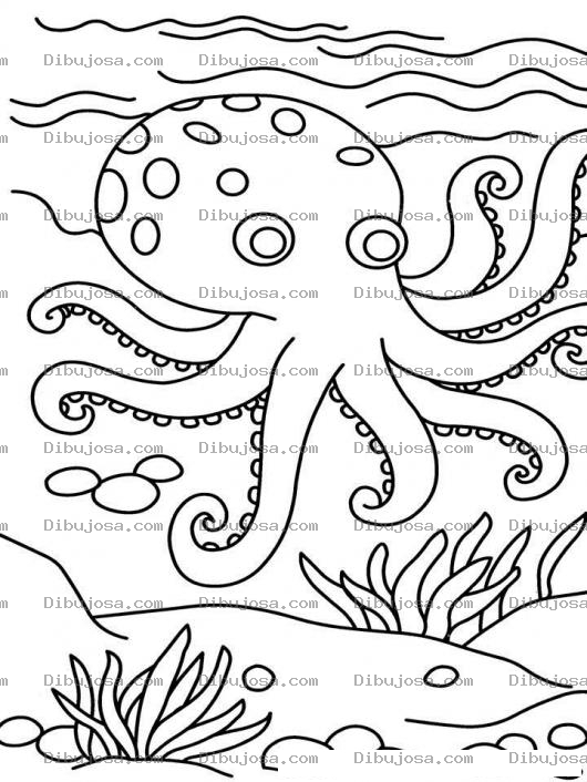 Dibujo para colorear Dibujo De Pulpo En El Mar Para Pintar Y Colorear