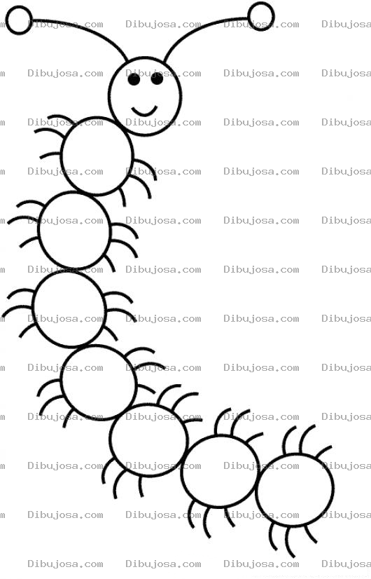 Dibujo para colorear Dibujo De Un Cienpies Para Pintar Y Colorear