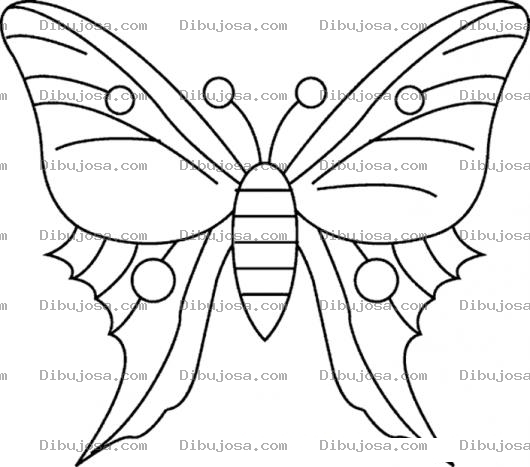 Dibujo para colorear Dibujo De Una Mariposa Para Pintar Y Colorear
